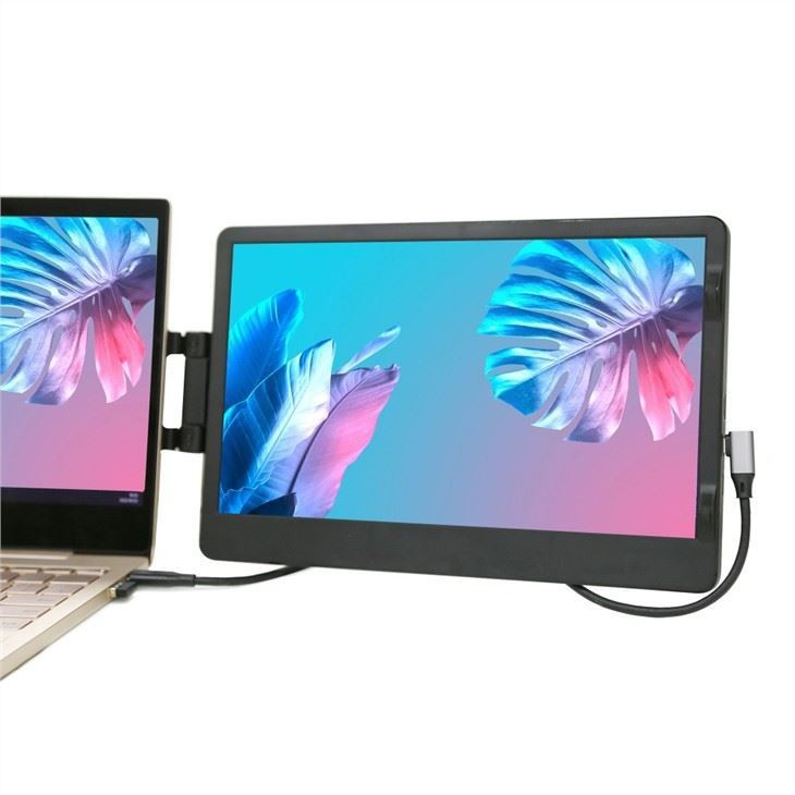 Portable Display (9)